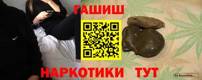 сатива Ставрополь