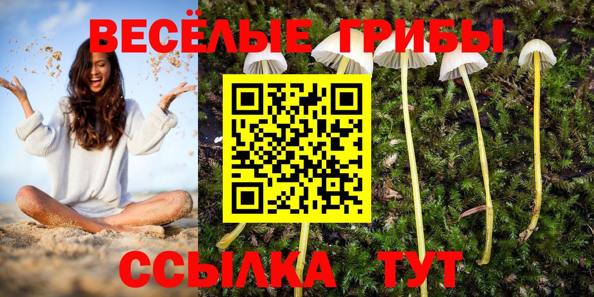 Галлюциногенные грибы мицелий Ногинск