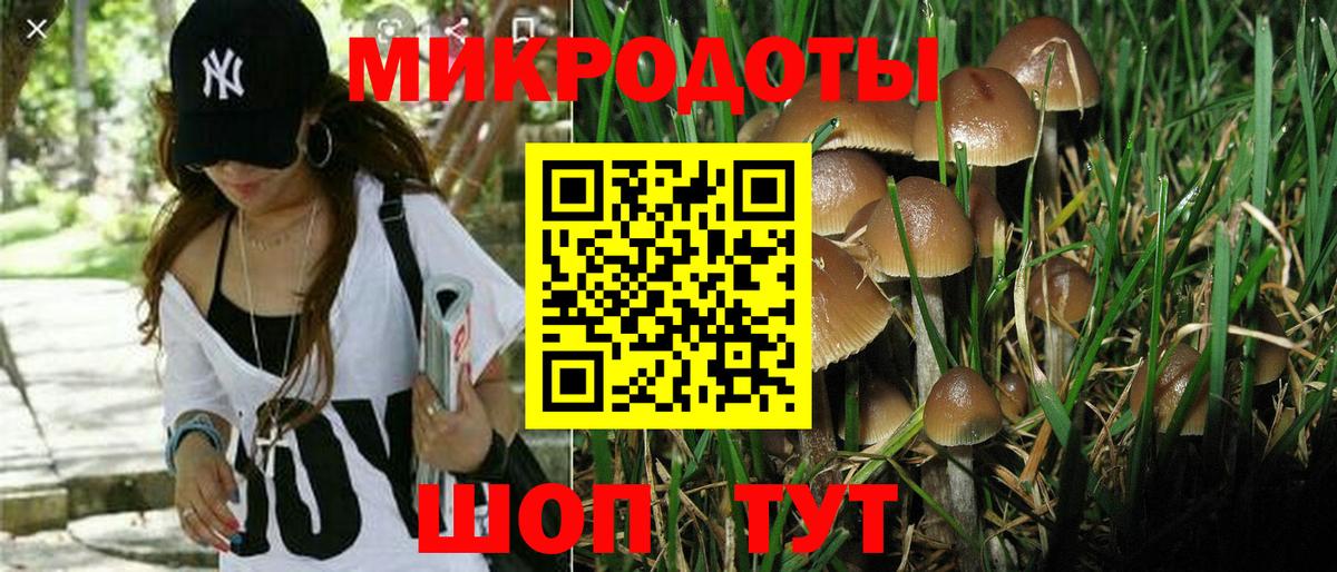 Ногинск  Галлюциногенные грибы ЛСД  Вход с VPN 